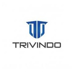 Logo PT Trivindo Sukses Mandiri