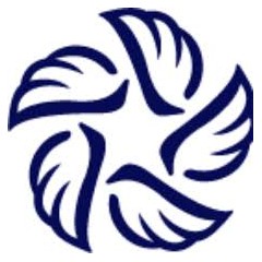 Logo PT. Bintang Sayap Utama (Gudang Baru Group)