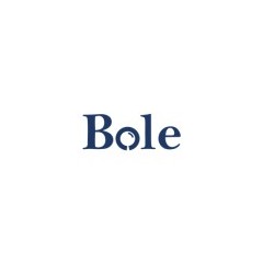 Logo Bole Consulting Indonesia
